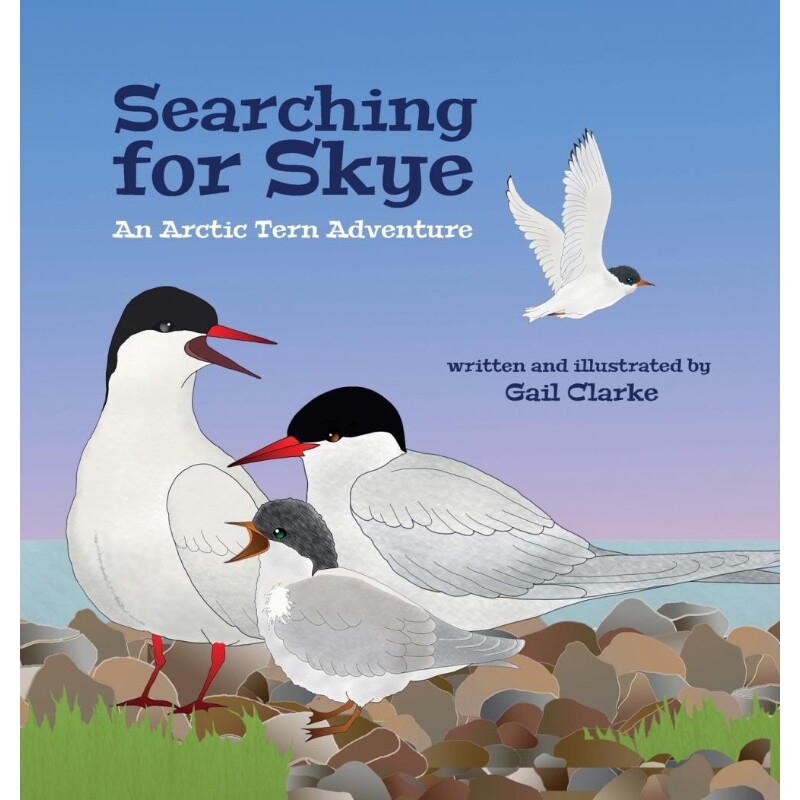 按需印刷不退不换Searching for Skye[9781912406258]