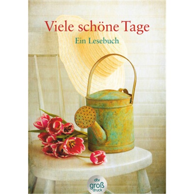 预订【德语】Viele schone Tage[9783423253314]