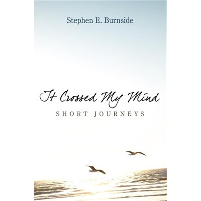 预订，预计下单后3-4周左右发货！