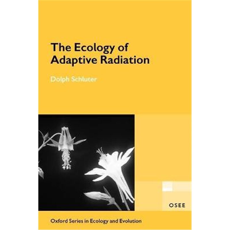 预订，预计下单后2-3周左右发货！