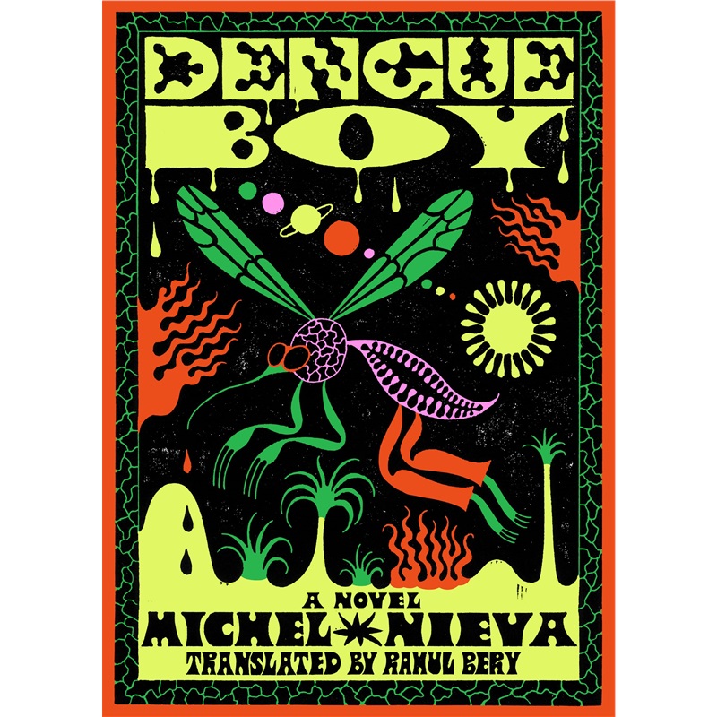 预售[2025新书]DENGUE BOY[9781662602658]