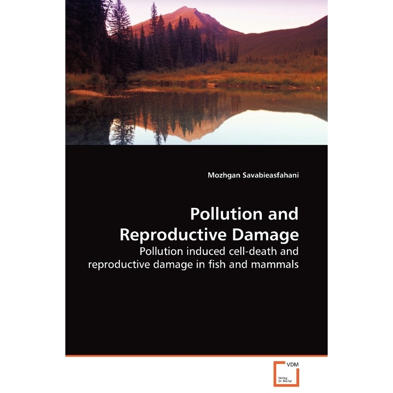 预订，预计下单后2-3周左右发货！