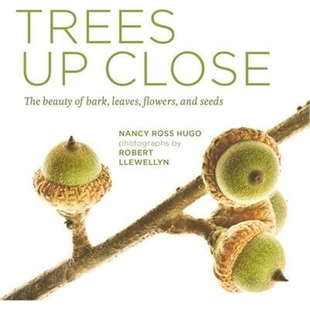 The and Seeds Leaves 预订Trees Bark Beauty Close Flowers