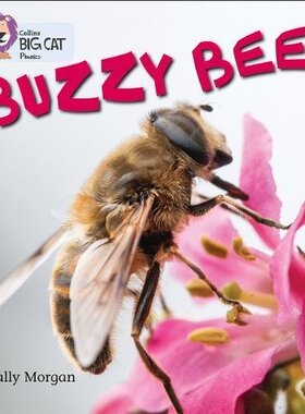 蜜蜂 Collins Big Cat Phonics 柯林斯大猫 Buzzy Bees Band 04/Blue 蓝色  单本 自然拼读