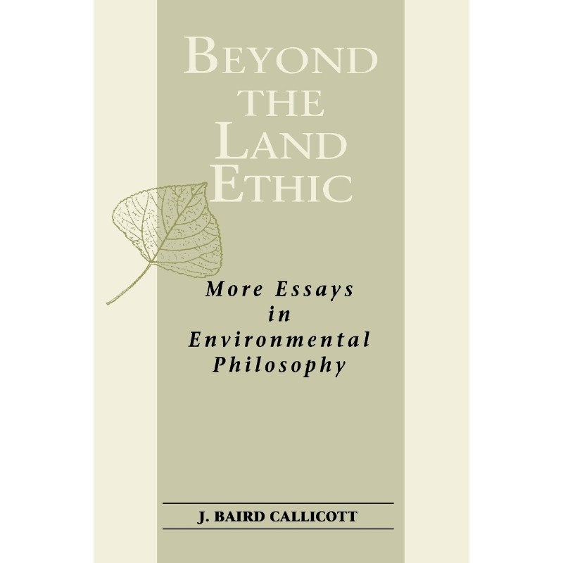 预订，预计下单后2-3周左右发货！