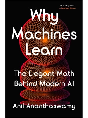 预售【2024新书】Why Machines Learn[9780593185742]