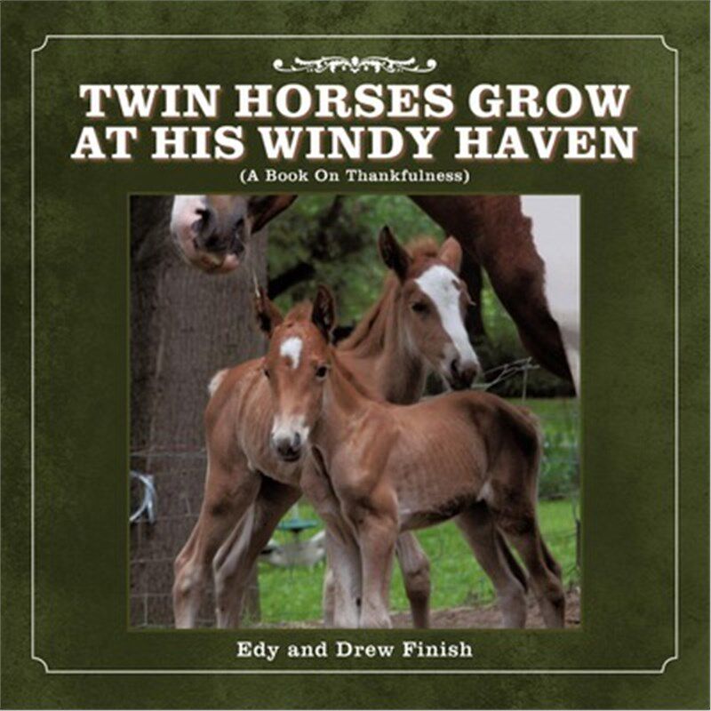 按需印刷不退不换TWIN HORSES GROW AT HIS WINDY HAVEN[9781449718343]