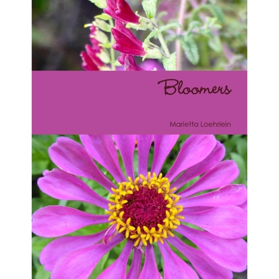 按需印刷不退不换Bloomers[9781365449086]