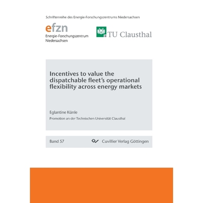 按需印刷Incentives to value the dispatchable fleet's operational flexibility across energy markets[9783736998902]
