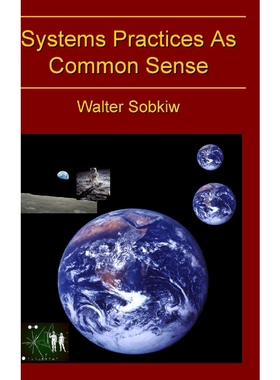 按需印刷Systems Practices as Common Sense[9780983253082]