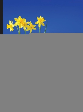 按需印刷Getting Started with Knockout.js for .NET Developers[9781783984008]