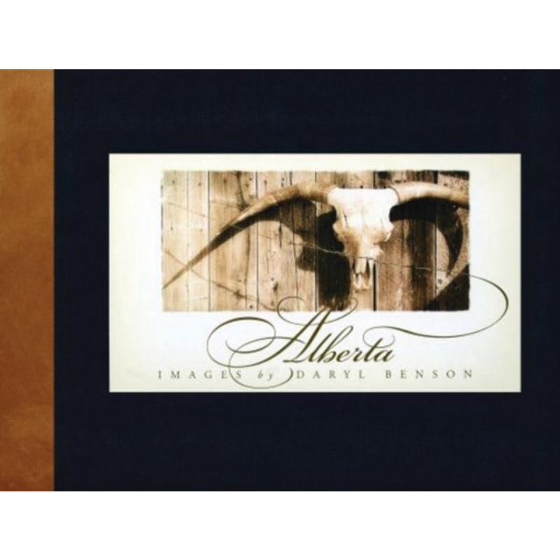 预订，预计下单后3-6周左右发货！