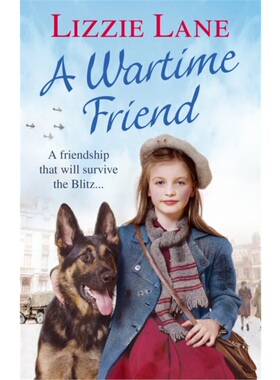 预订不退不换Wartime Friend