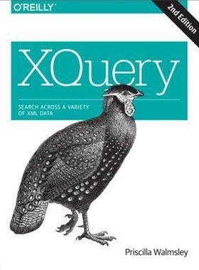 按需印刷XQuery 2e[9781491915103]