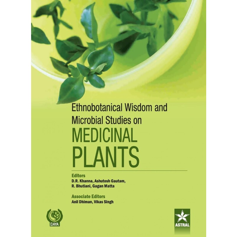 预订，预计下单后2-3周左右发货！