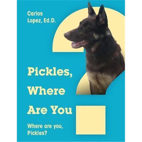 预订，预计下单后3-4周左右发货！