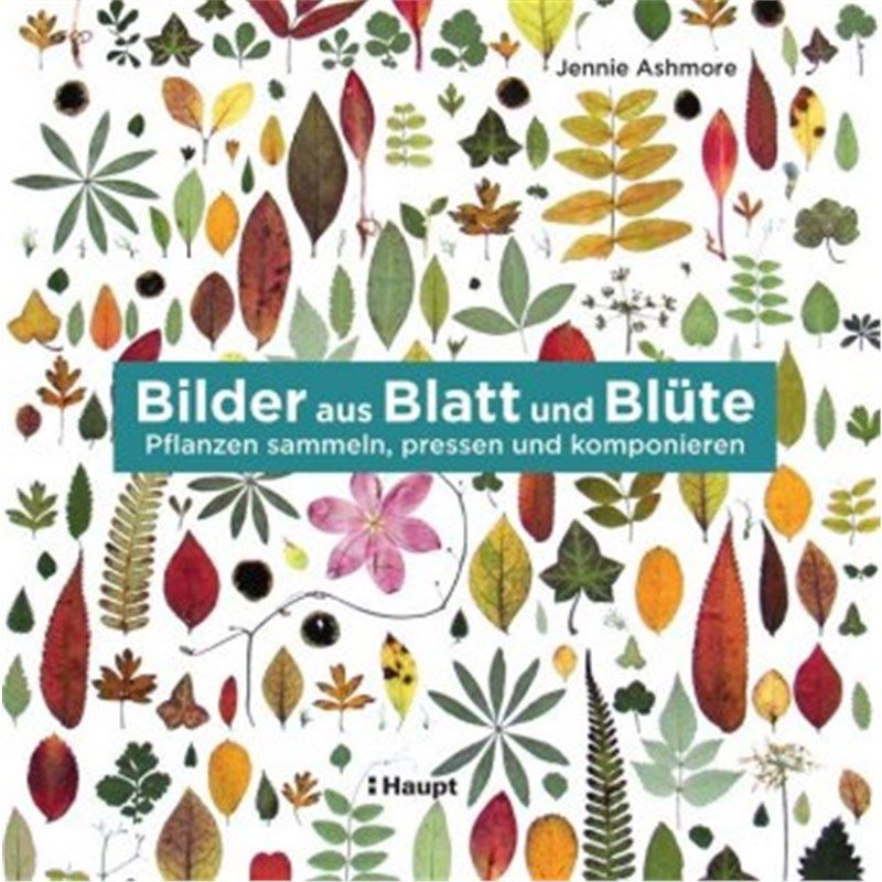 预订【德语】Bilder aus Blatt und Blüte:Pflanzen sammeln, pressen und komponieren