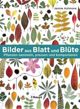 预订【德语】Bilder aus Blatt und Blüte:Pflanzen sammeln, pressen und komponieren