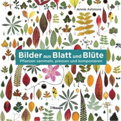 预订【德语】Bilder aus Blatt und Blüte:Pflanzen sammeln, pressen und komponieren