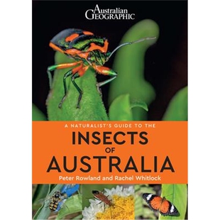 Guide Australia Insects Naturalist the 预订A