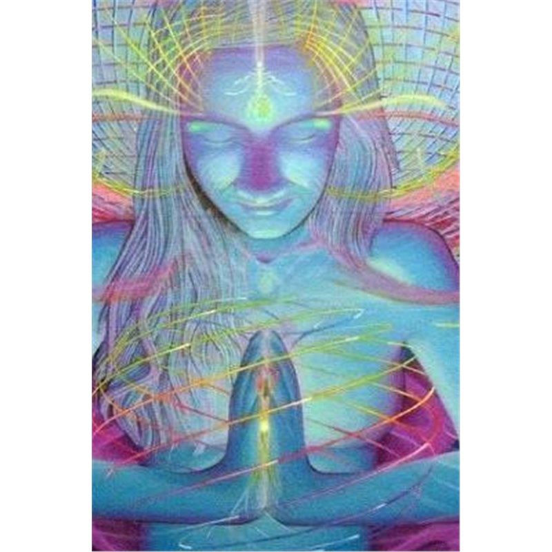预订lsd experience