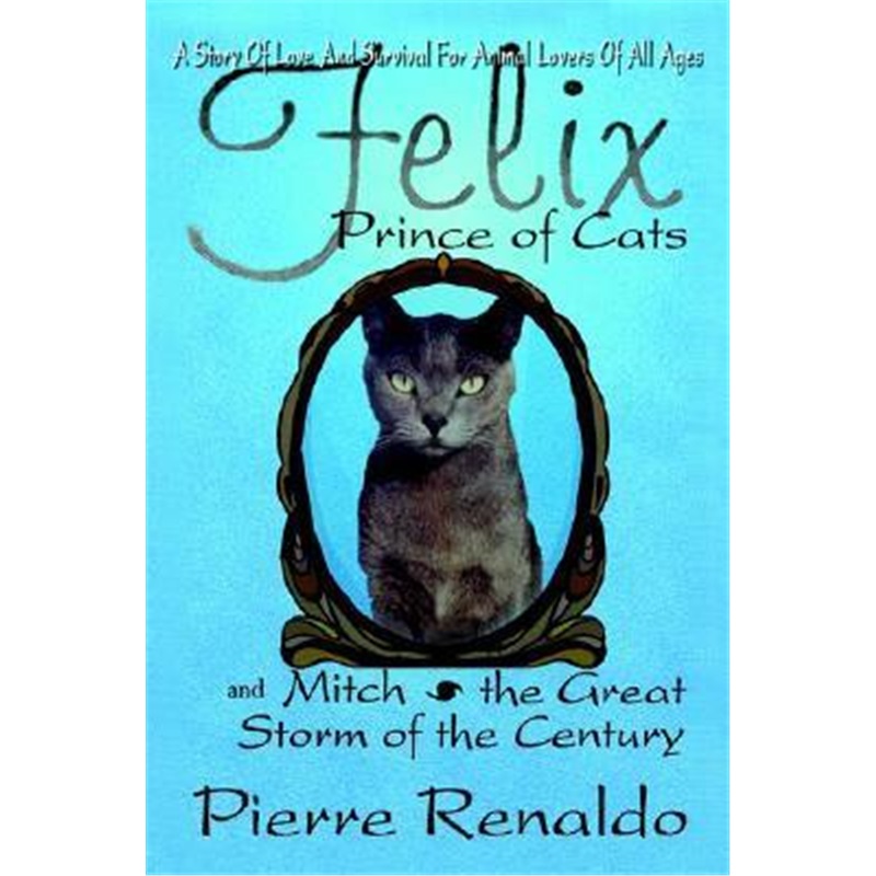 预订，预计下单后3-4周左右发货！