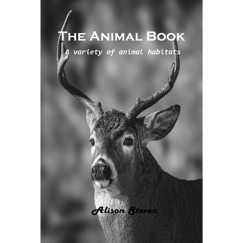 预订，预计下单后2-3周左右发货！