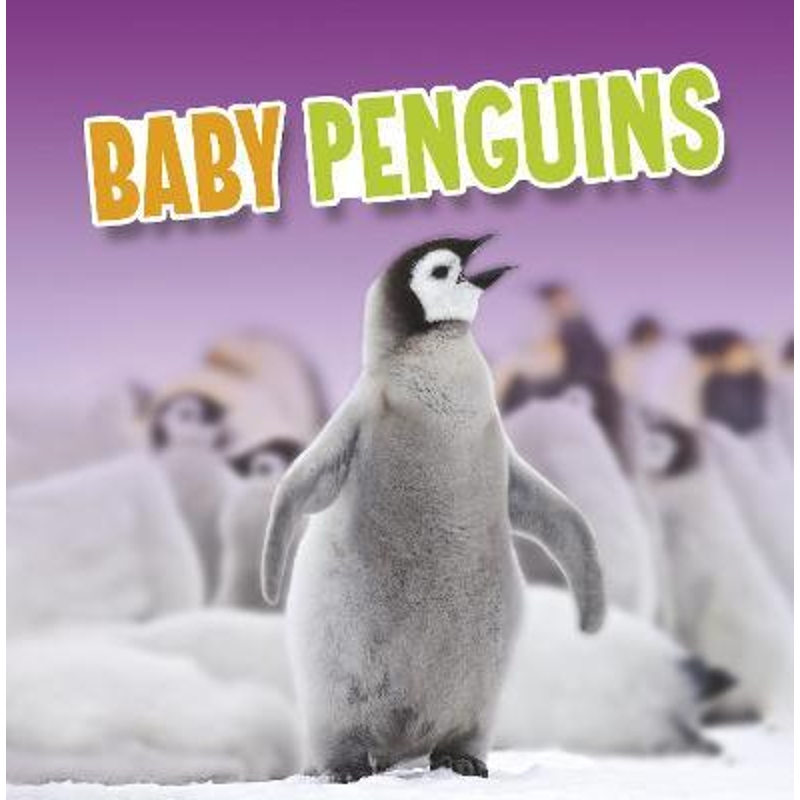预订Baby Penguins