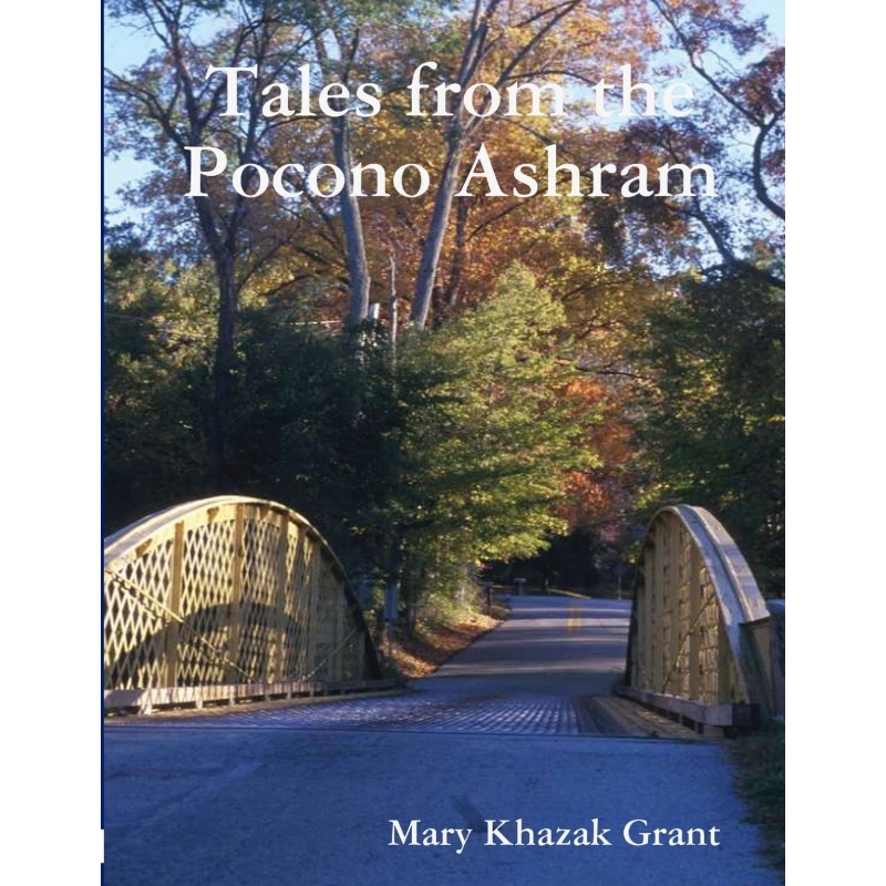 预订，预计下单后2-3周左右发货！