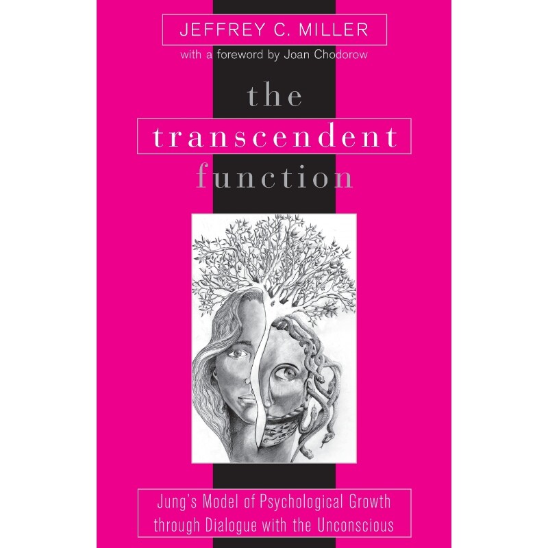 按需印刷不退不换Transcendent Function, The[9780791459782]