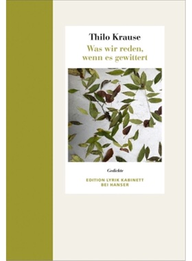 预订【德语】Was wir reden, wenn es gewittert[9783446258167]