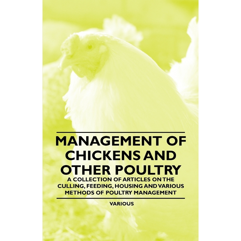 预订Management of Chickens and Other Poultry - A Collection of Articles on the Culling, Feeding, Housing 书籍/杂志/报纸 原版其它 原图主图