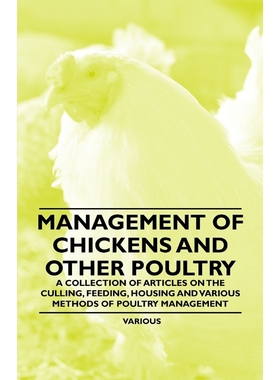 预订Management of Chickens and Other Poultry - A Collection of Articles on the Culling, Feeding, Housing