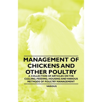 预订Management of Chickens and Other Poultry - A Collection of Articles on the Culling, Feeding, Housing