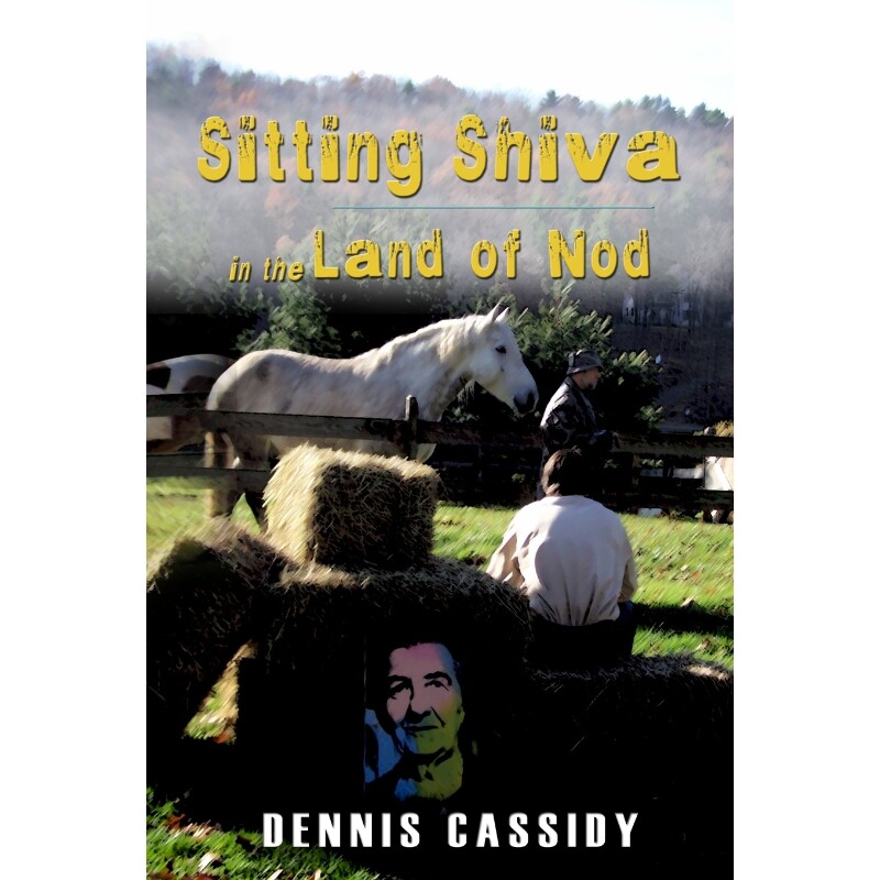 按需印刷不退不换Sitting Shiva in the Land of Nod[9780997674606]