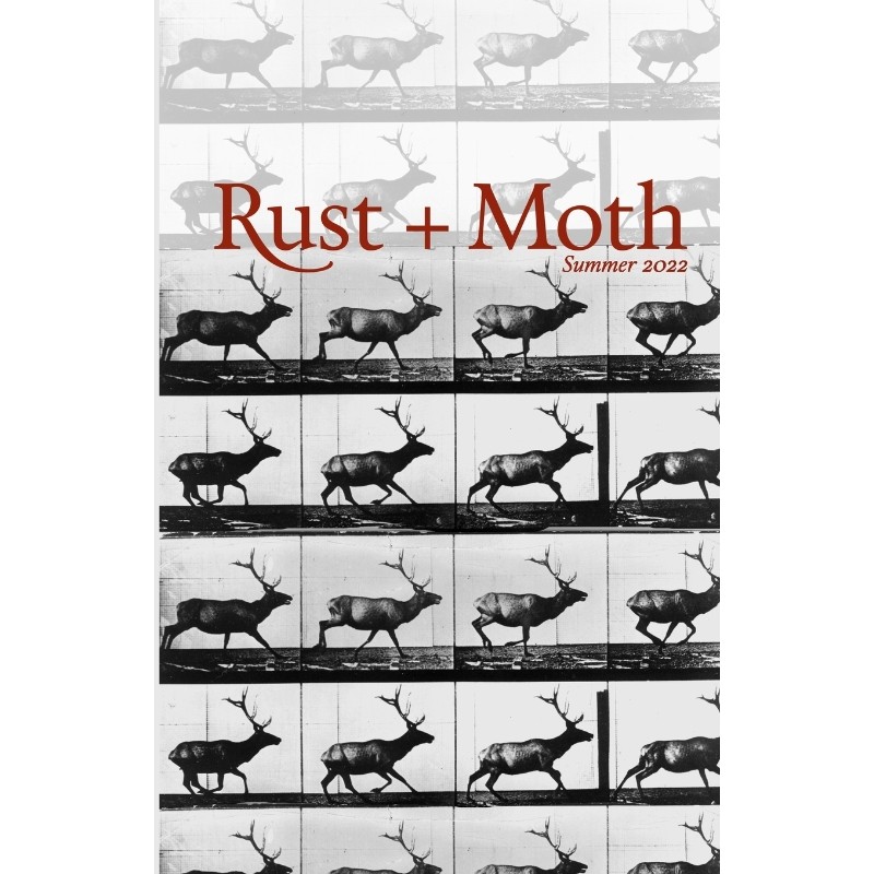 预订，预计下单后2-3周左右发货！