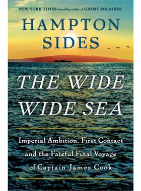 预售【2024新书】WIDE WIDE SEA, THE