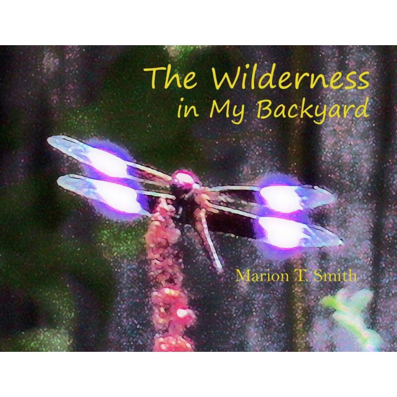 按需印刷不退不换The Wilderness in My Backyard[9780578468877]