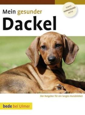 预订【德语】 Mein gesunder Dackel:Ein Ratgeber für ein langes Hundeleben