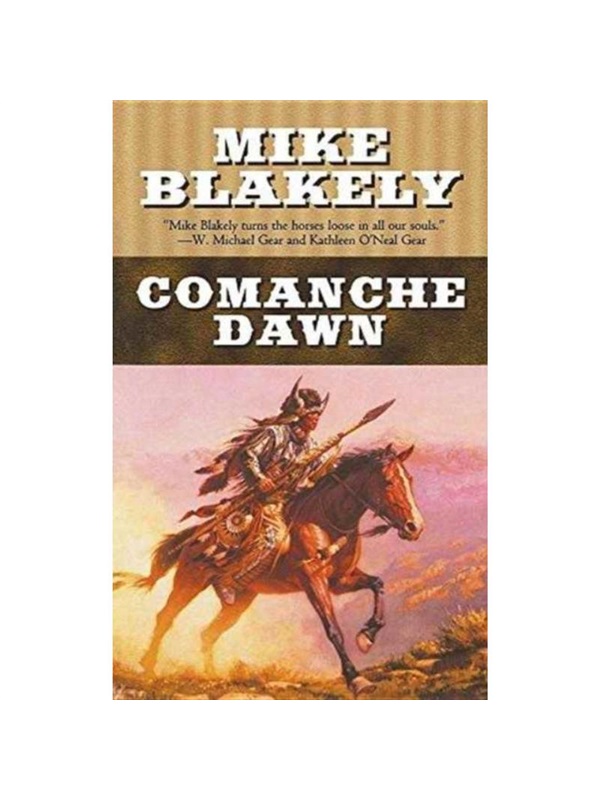 预订，预计下单后3-6周左右发货！