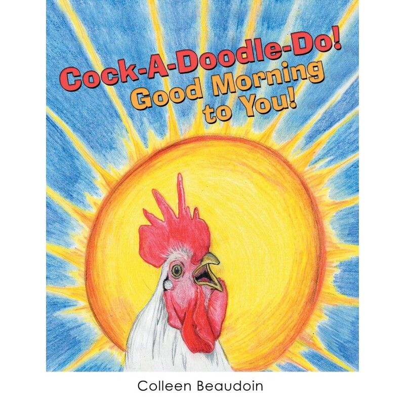 预订，预计下单后2-3周左右发货！