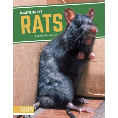 预订Rats[9781644938577]