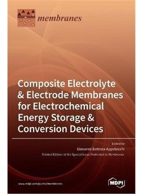 预订Composite Electrolyte & Electrode Membranes for Electrochemical Energy Storage & Conversion Devices