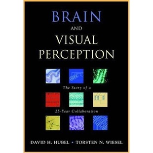 Visual year Perception The Story 预订Brain Collaboration and