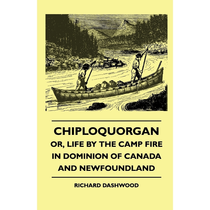 预订，预计下单后2-3周左右发货！