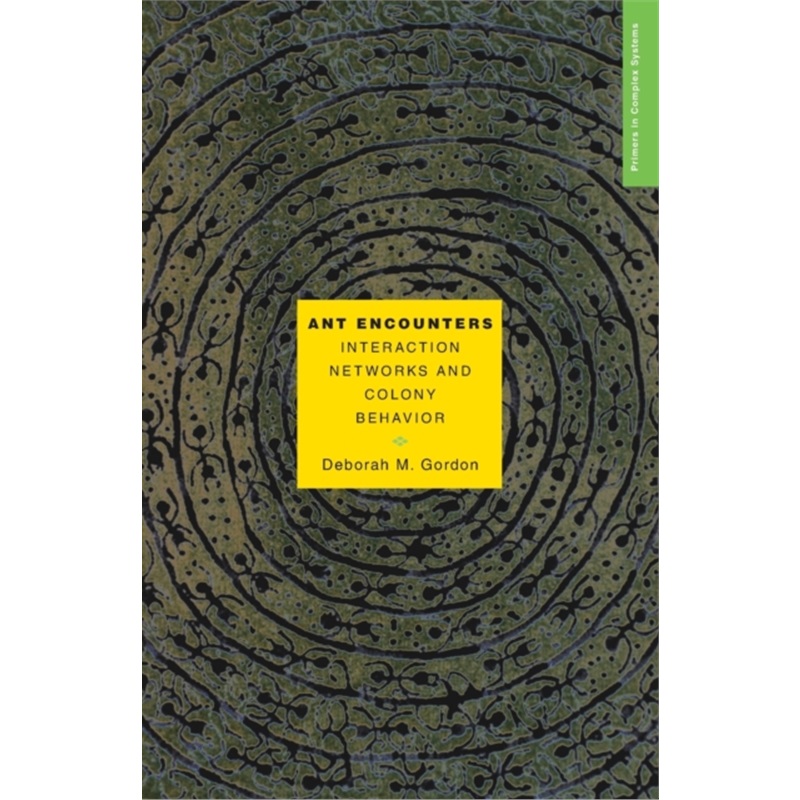 预订，预计下单后4-6周左右发货