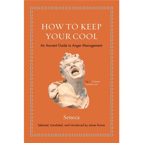 【外文书店】普林斯顿How to Keep Your Cool