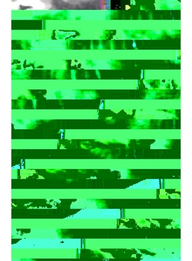 按需印刷Outwitting the Dilemma of Scale[9783836450973]