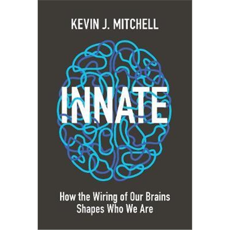 预订，下单后3-4周发货！