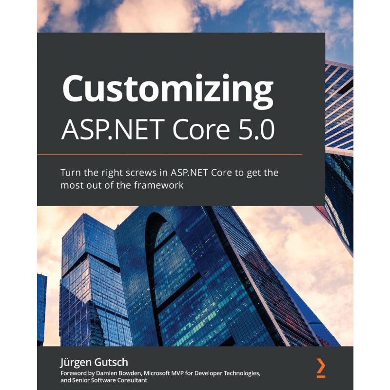 按需印刷不退不换Customizing ASP.NET Core 5.0[9781801077866]